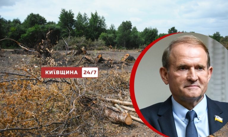 Суд повернув державі 24 гектари лісу на Київщині, відібрані в родини Віктора Медведчука