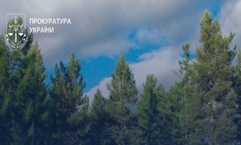 На Київщині трьом колишнім очільникам «Київоблагролісу» оголосили підозру через незаконну вирубку лісу й понад 13 млн грн збитків