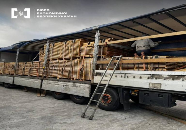 У Києві провели понад 60 обшуків — БЕБ викрила багаторічну схему контрабанди деревини