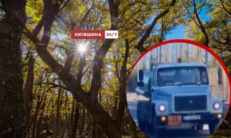 Громада на Київщині стала живим щитом і перекрила техніку, рятуючи Мархалівський ліс
