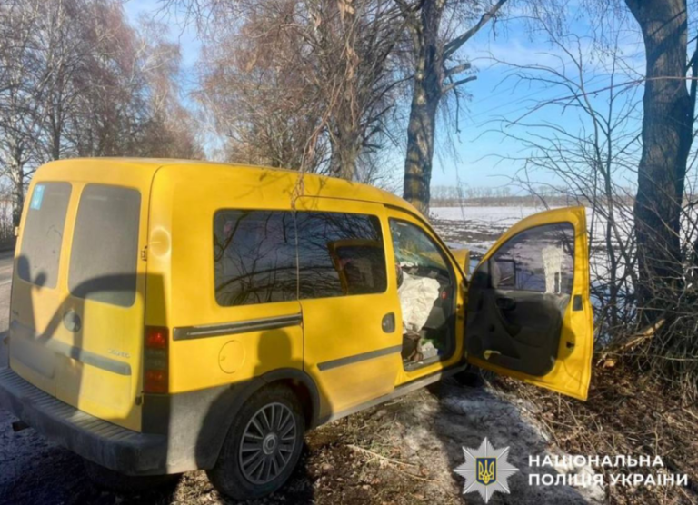 На Київщині з’ясовують обставини смертельного удару внаслідок поваленого дерева — ФОТО