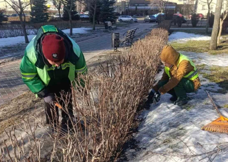 Київ оживає в сотнях рослин: як доглядають за зеленню міста — ФОТО