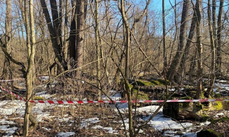 У лісі на Київщині знайшли нездетоновану бойову частину ворожого безпілотника