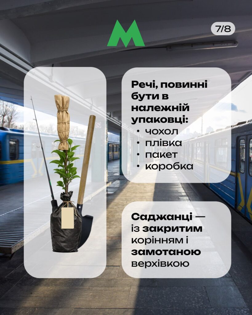 Фото 6 — контроль багажу
