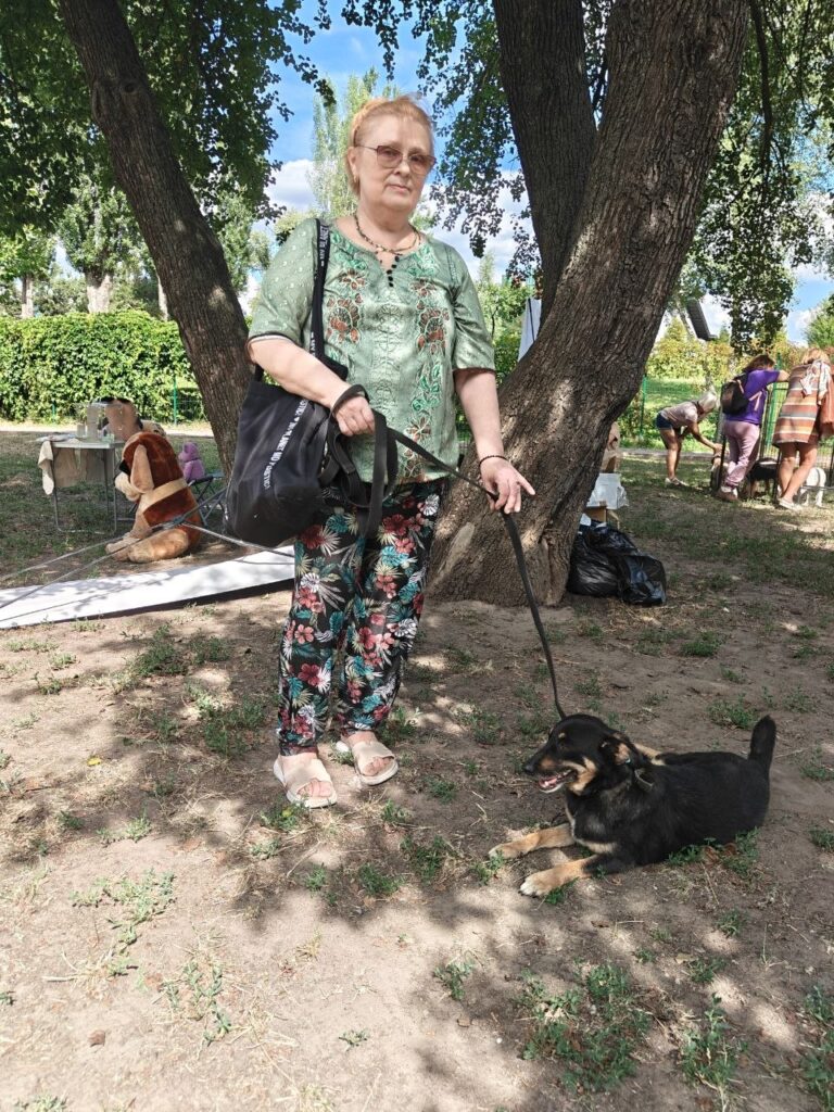 Собака у вольєрі притулку