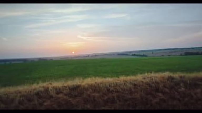 Столиця відзначить 35-річчя Незалежності серією виставок і фестивалів