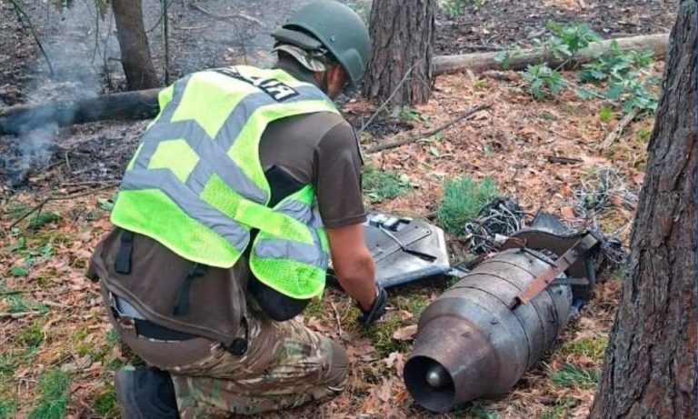 У Голосіївському районі столиці після падіння уламків «Герані-4» спалахнули дерева та трава