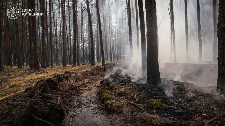 На Київщині рятувальники вже четверту добу борються з масштабною лісовою пожежею на площі 2500 гектарів