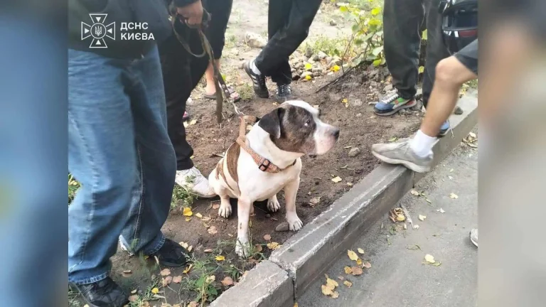 На Костянтинівській у Подільському районі спалахнула пожежа