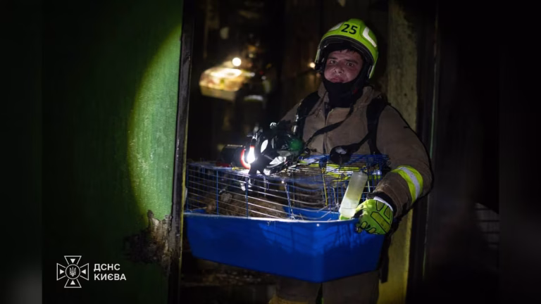У Києві 26 вересня внаслідок нападу постраждали сім осіб