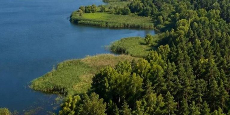На Київщині завдяки позовам прокуратури повертають у власність держави 6 га земель водного фонду та лісових угідь