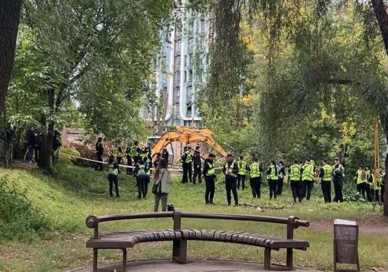 На Теремках у Києві знову почали вирубувати дерева — протестувальників відтягують силою