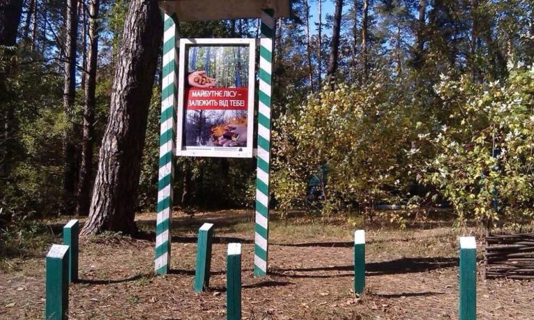 У зв’язку з підвищеним ризиком загорянь у київських лісах запровадили посилені протипожежні заходи