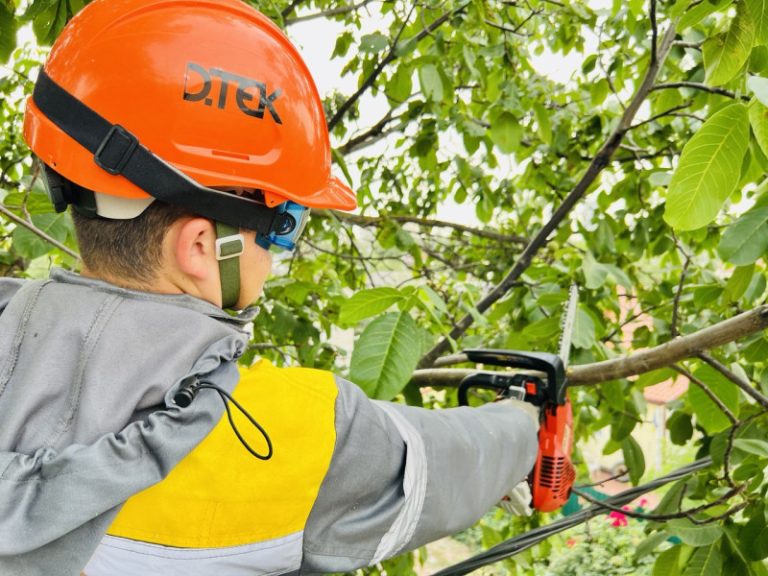 У Київській області відновлено чистоту на понад 3,4 тисячі км електричних мереж