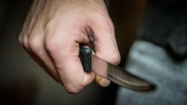 У Вишгороді 59-річного чоловіка судитимуть за ножовий напад на сина