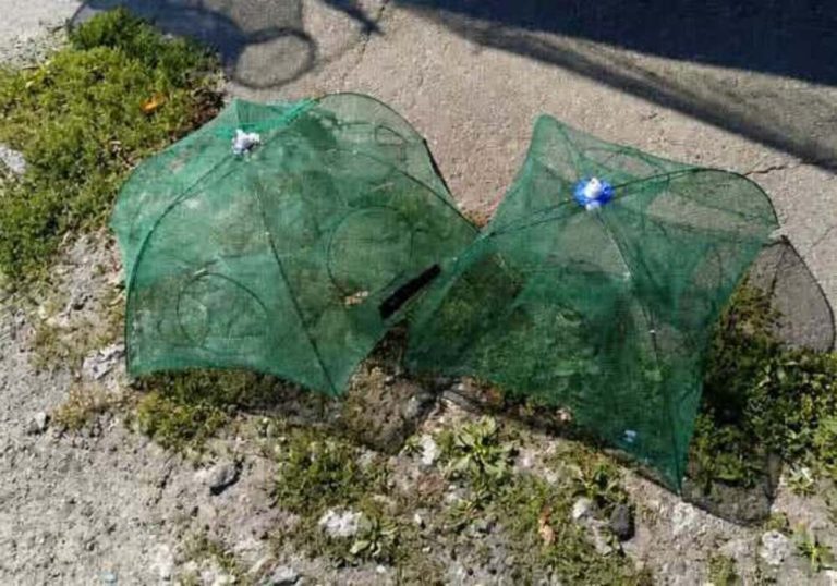 На Київщині викрили браконьєрів із 30 карасями та забороненими знаряддями