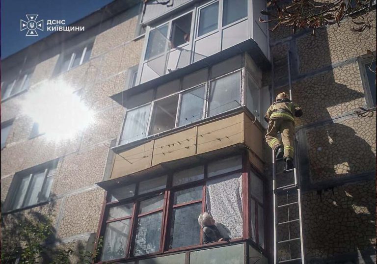 У Білій Церкві пожежники врятували кота, який застряг на козирку балкона четвертого поверху