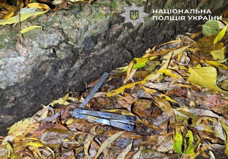 У Києві юнаку висунуто підозру в умисному вбивстві підлітка