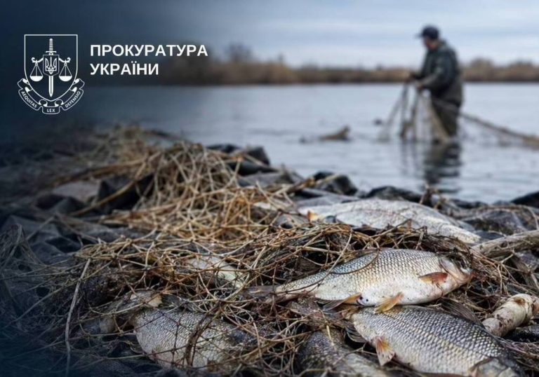 На Київському водосховищі припинили браконьєрський вилов риби на суму 1,6 млн грн