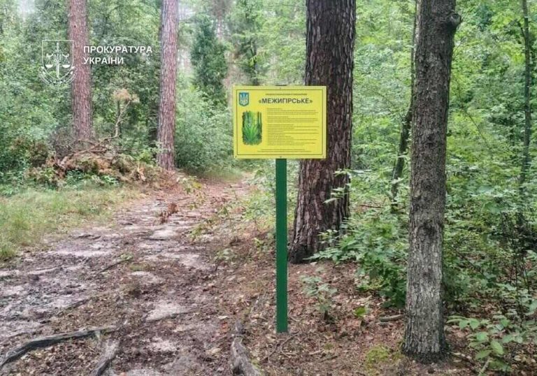 У Києві через суд домагаються визначення меж заказника «Межигірське»