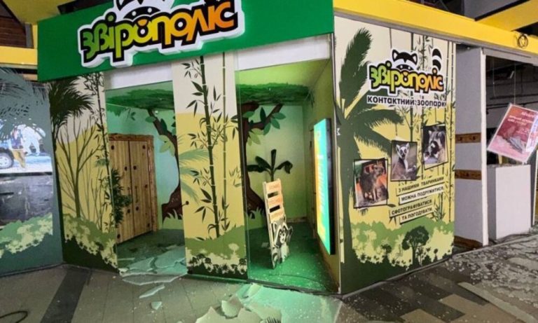 Ракетний удар завдав шкоди локації «Звірополісу» в Києві, співробітники евакуюють тварин