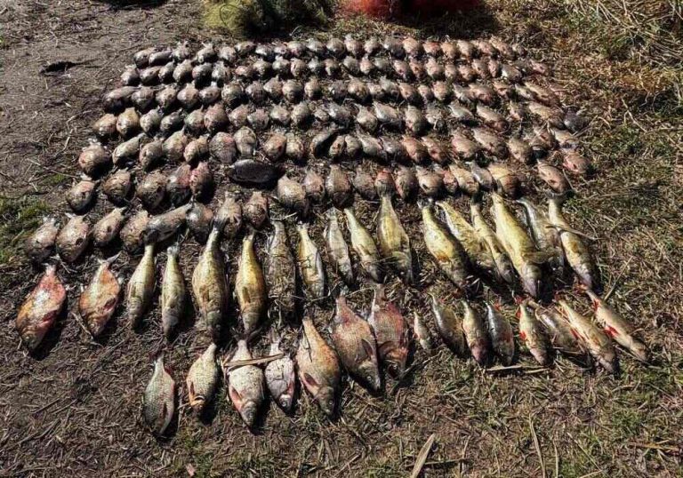 На Київському водосховищі затримали браконьєрів з 80 кг незаконно виловленої риби