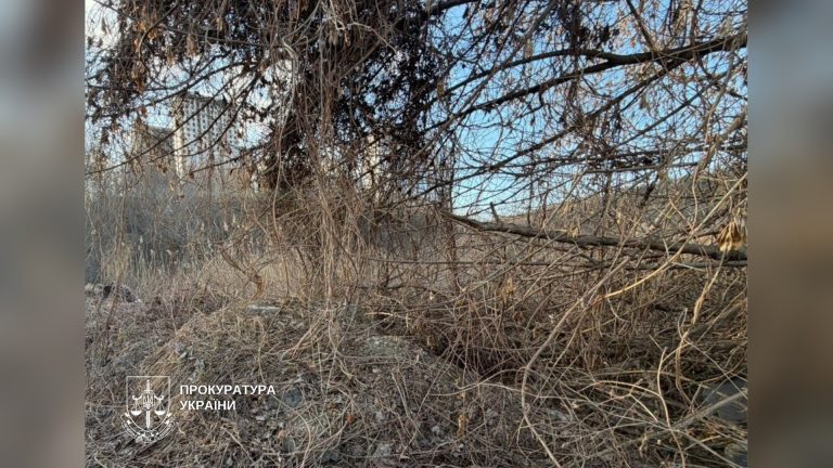 Прибрати сміттєзвалище біля озера у Голосіївському районі