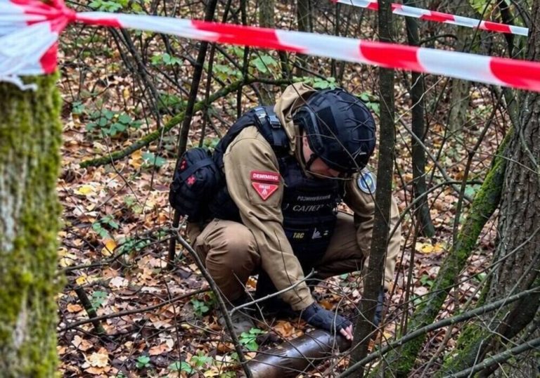 Поблизу Ірпеня в лісі виявили 120-мм артилерійський снаряд грибники